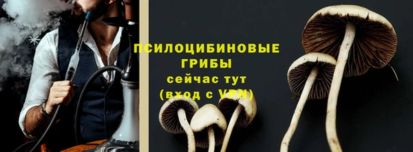 тгк Алексеевка