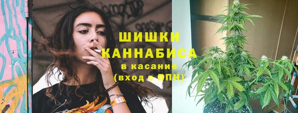прущий лед Ельня